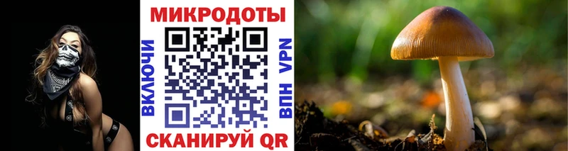 это какой сайт  Кодинск  Галлюциногенные грибы Psilocybe  цена наркотик 